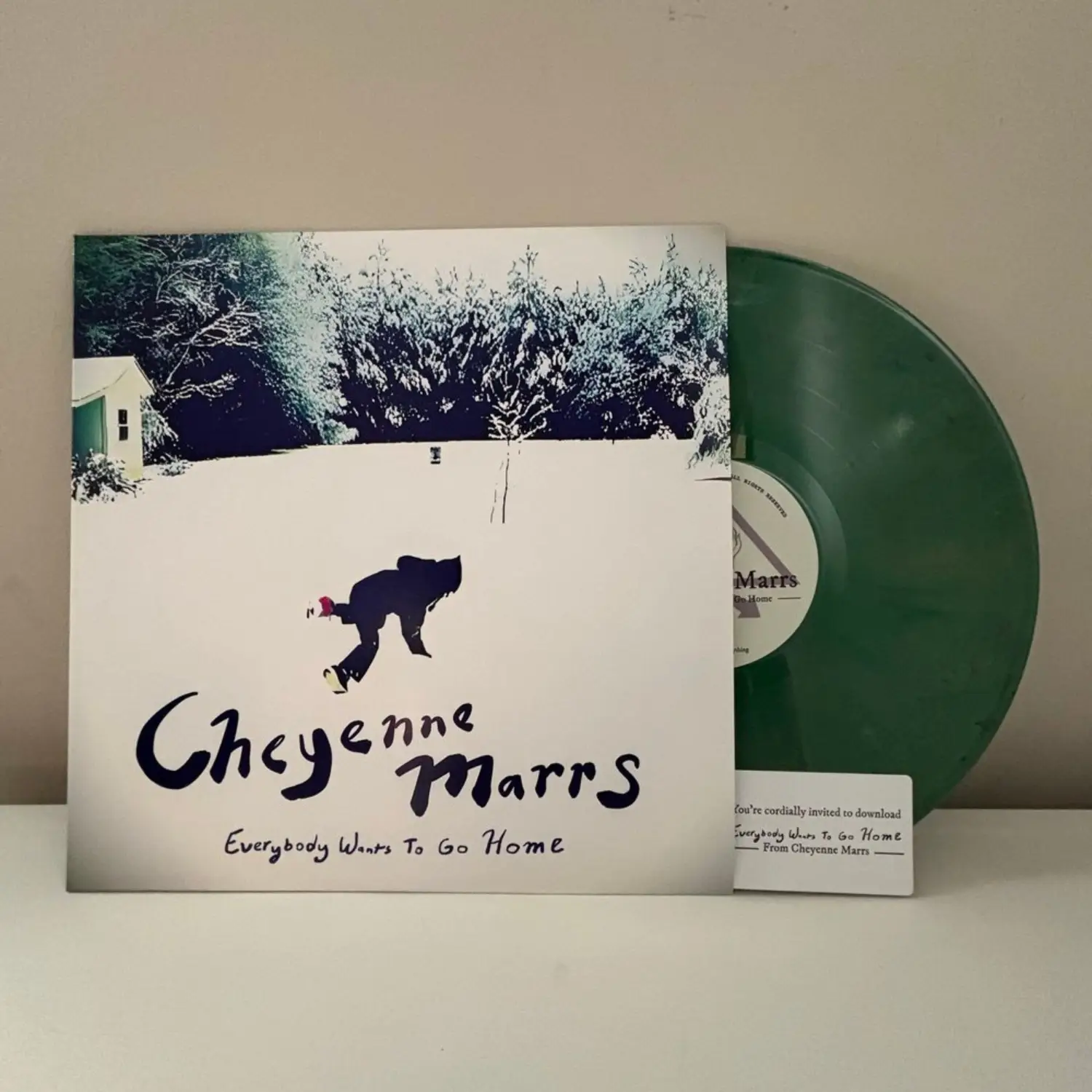 Everybody Wants To Go Home LP